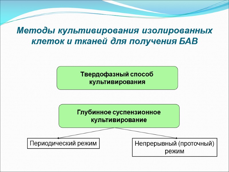 Методы культивирования изолированных клеток и тканей для получения БАВ Твердофазный способ  культивирования Глубинное